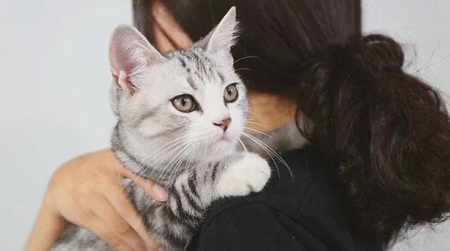 元旦丨新的一年,宠爱有加